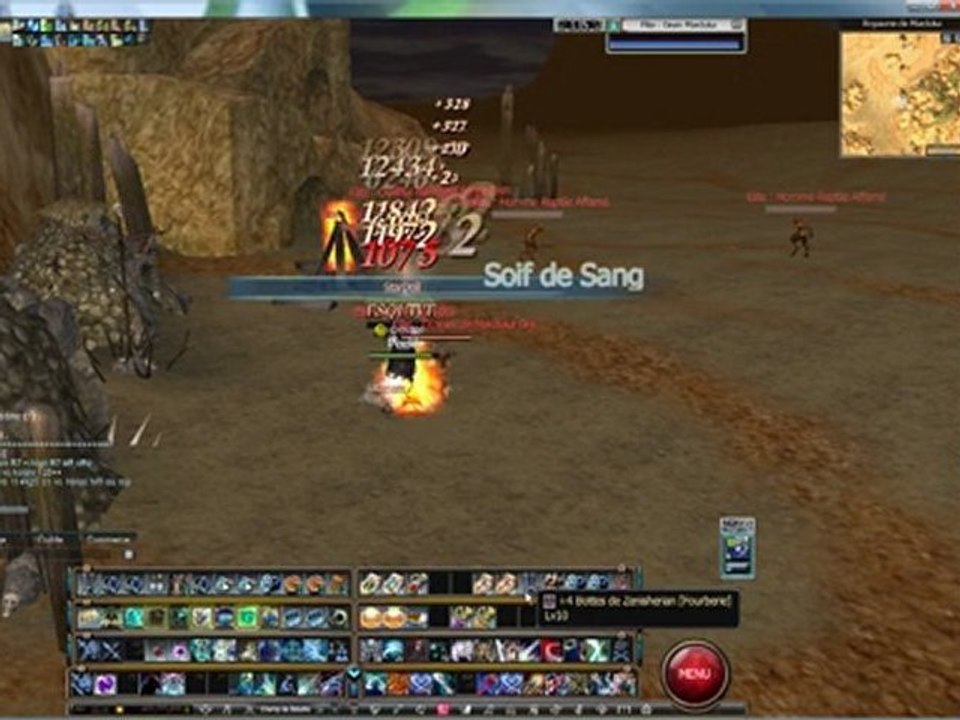 dps assa low rappelz kentauros