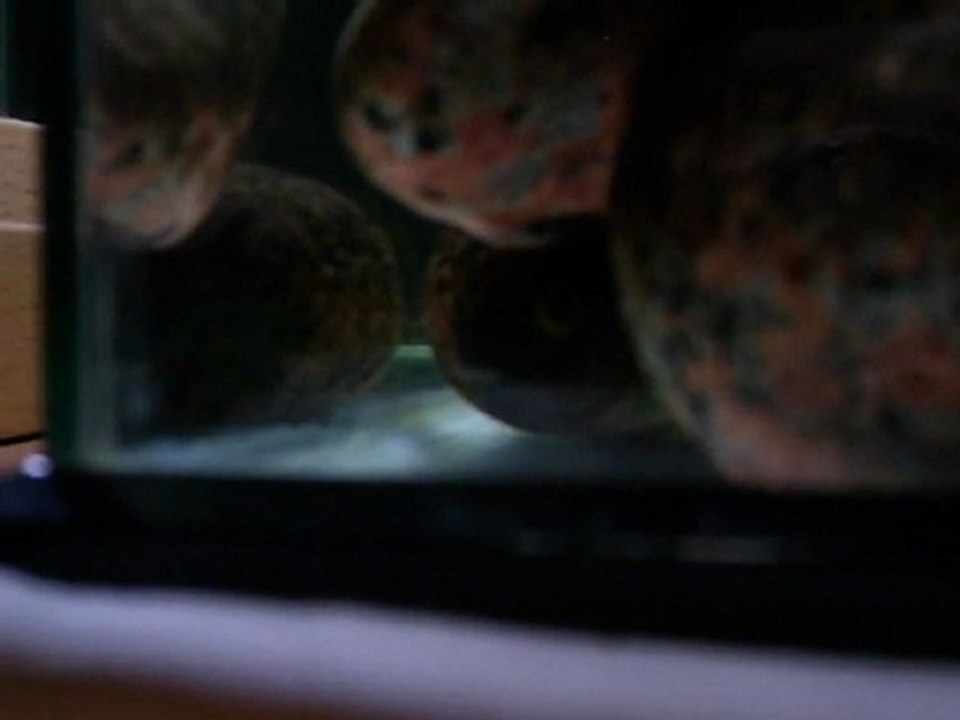 100_2544