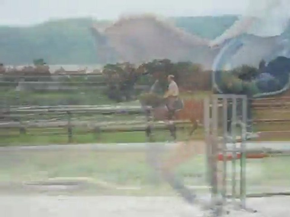 H6 ans dressage