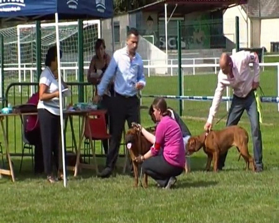 jugement de JTM de l'Exigence a la Ne de songeons 2011  / P non classé ( 3 min )