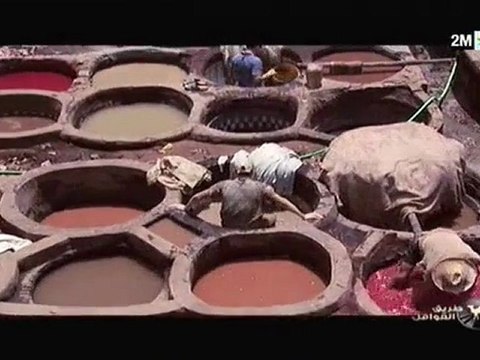 Les tanneries de Fès