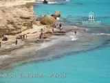 GAT Tours | Discover Egypt Northern Coast & Western Desert - Tour Package - 10 Days / 9 Nights