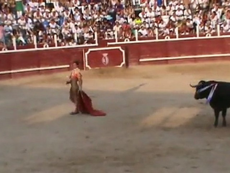 Sanguesa 2011 - corrida d'Adolfo Martin