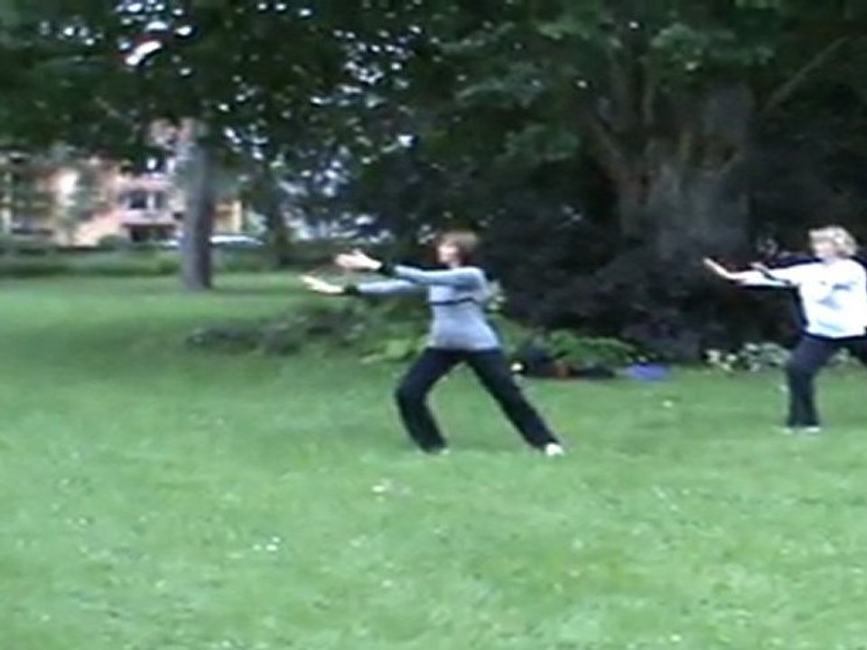 Tai Chi Style Yang 24 mouvements Forme de Pékin