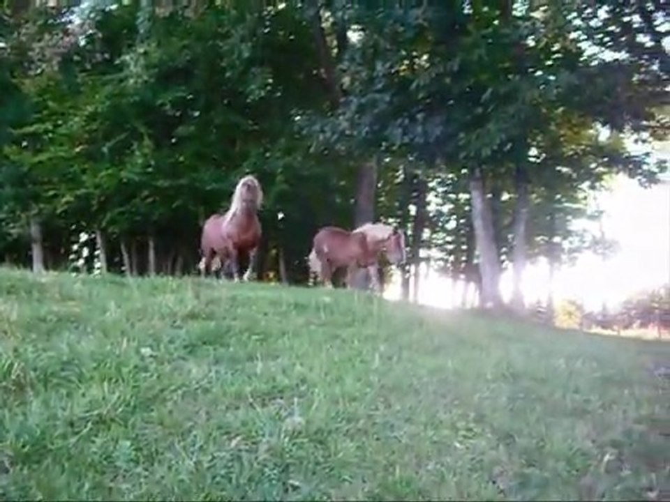 Ils font battre mon coeur chaque jour un peu plus fort...