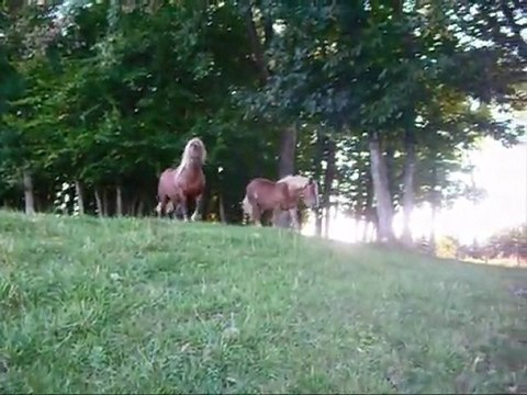 Ils font battre mon coeur chaque jour un peu plus fort...