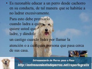 Tecnicas de Entrenamiento de perros