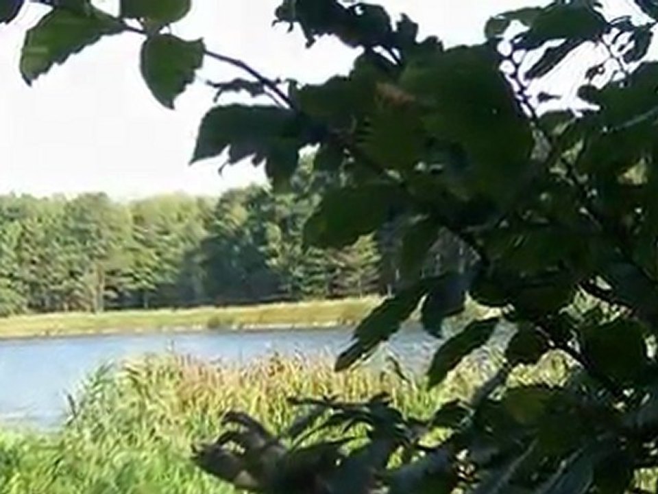 Siedzę,patrzę,słucham-ela544