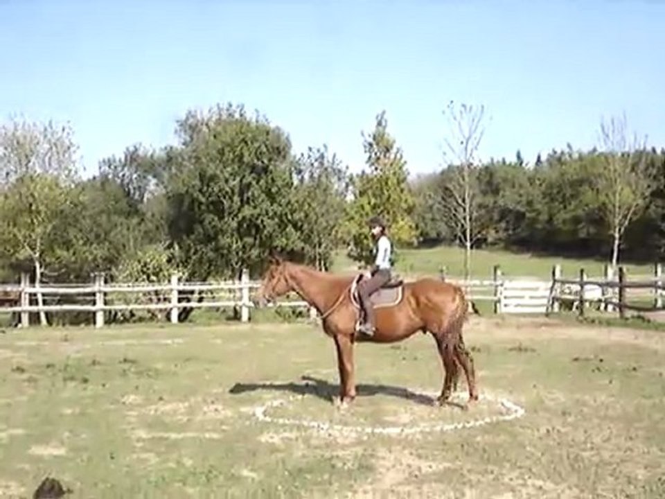 MOV05777