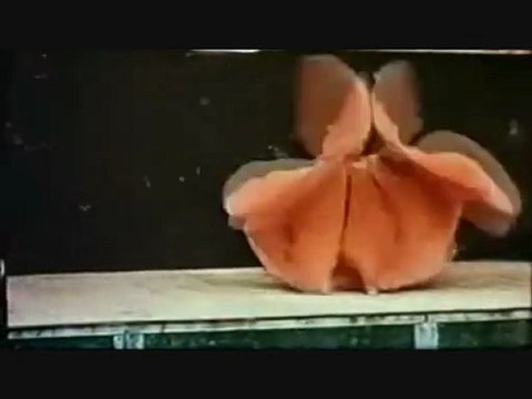 ALG meets JB & the ppf at The BC : L'homme à 7 vies