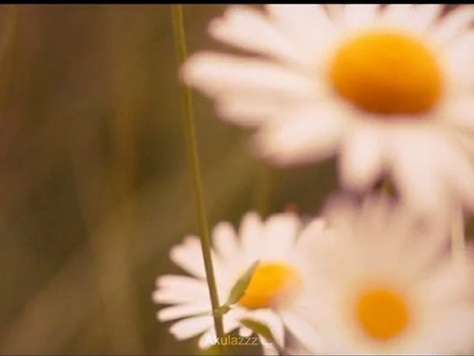 Гарди, Марго, DJ Spot - Любите Планету (Лето Любви) (prod. by Snare)