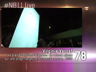 Nuit Blanche 2011 JUDI YOSSEF Ecole Elementaire Foyatier