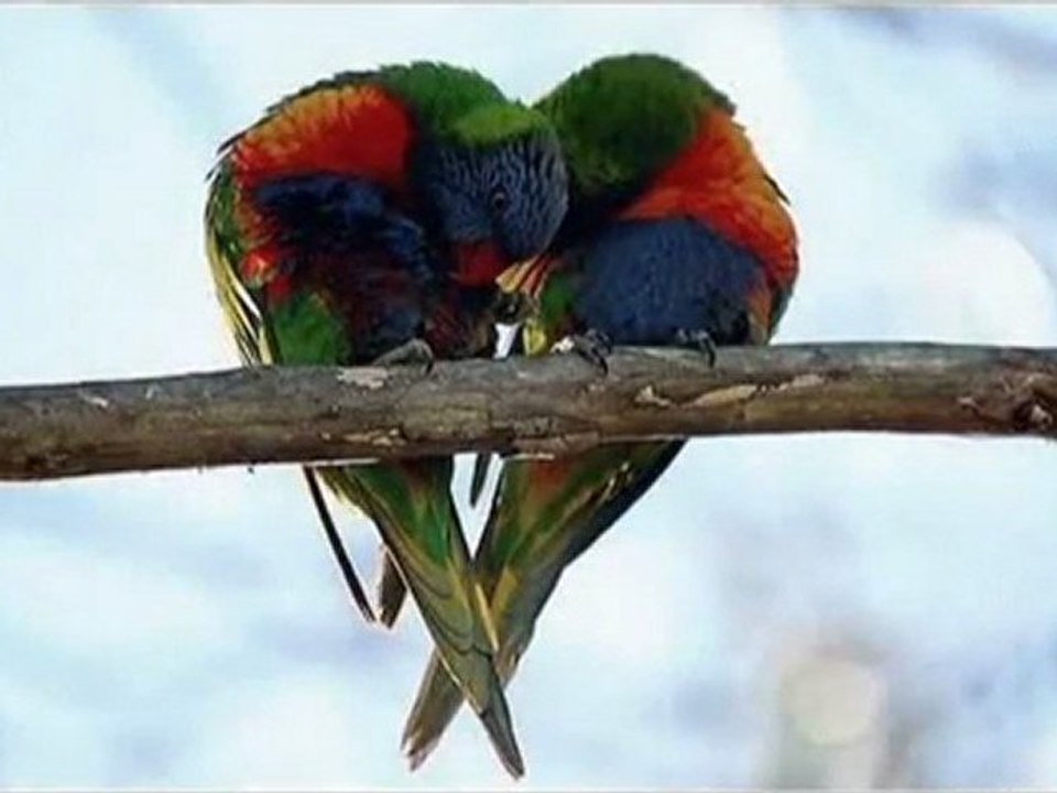 GÜLAY    ♫♥♪ Ellerini Çekip Benden  ♫♥♪