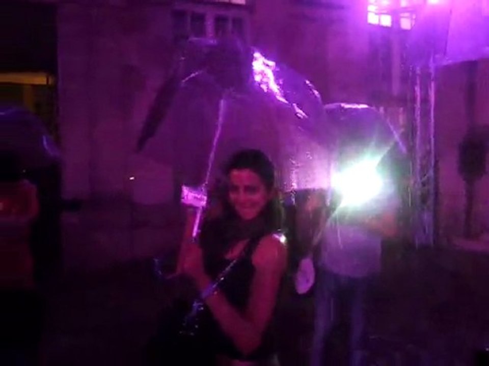 Nuit Blanche 2011 prland Hotel d' Albret