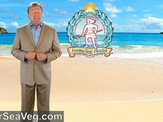 Web Video Production by Website Actor Live