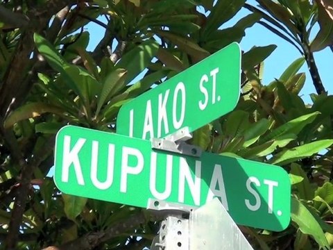 Hawai 2011 (2909&0110)