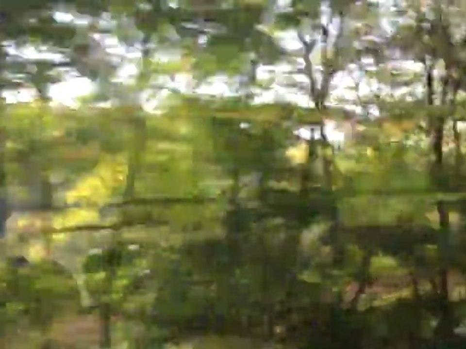 en train de baume les dames  a  besançon