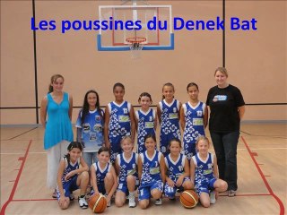 2011 octobre1poussine