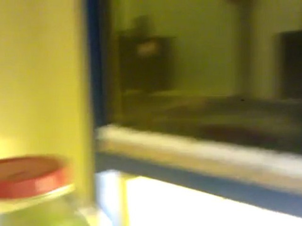 VIDEO0031