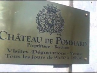 Caves de Pommard  ( Bourgogne )