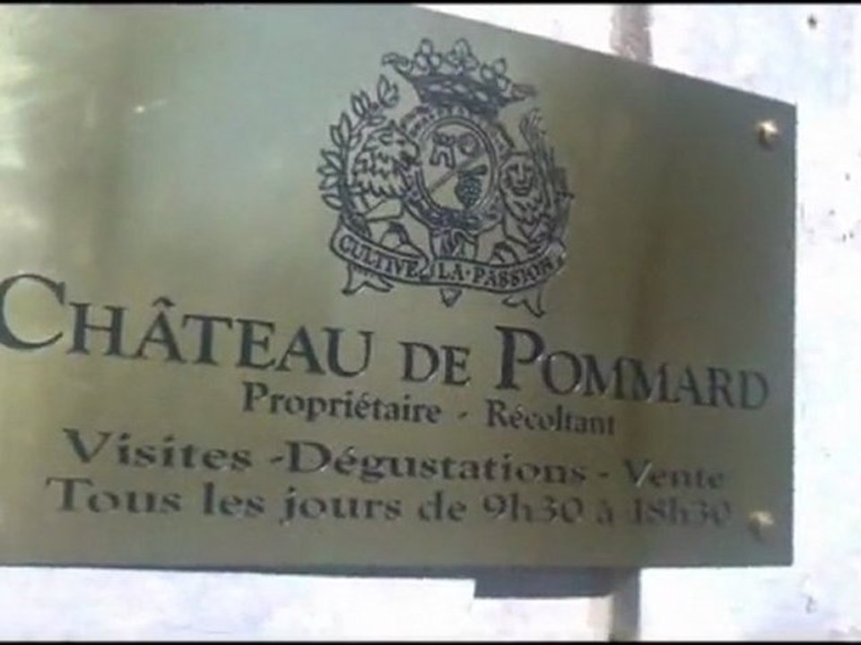 Caves de Pommard  ( Bourgogne )