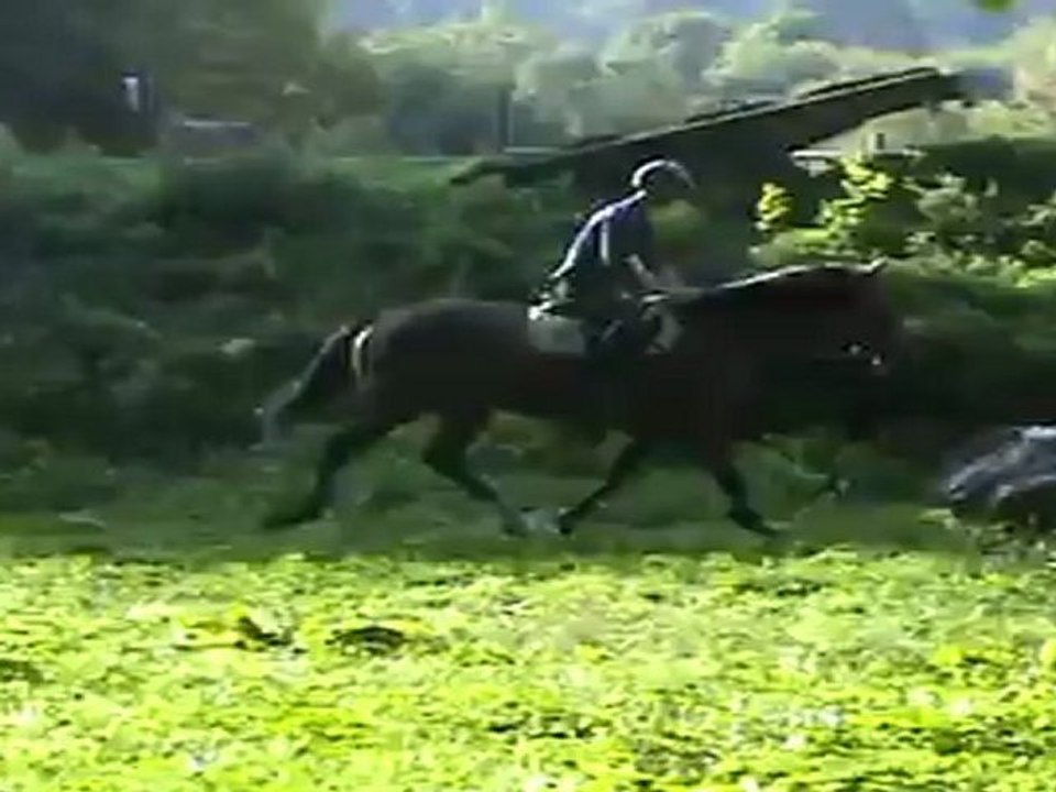 saphir4