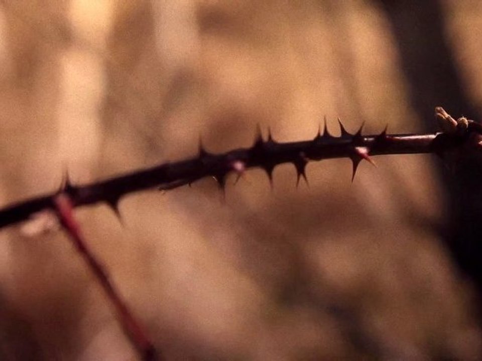 SUBWAY Teaser nouvel album "Hide and seek" 04