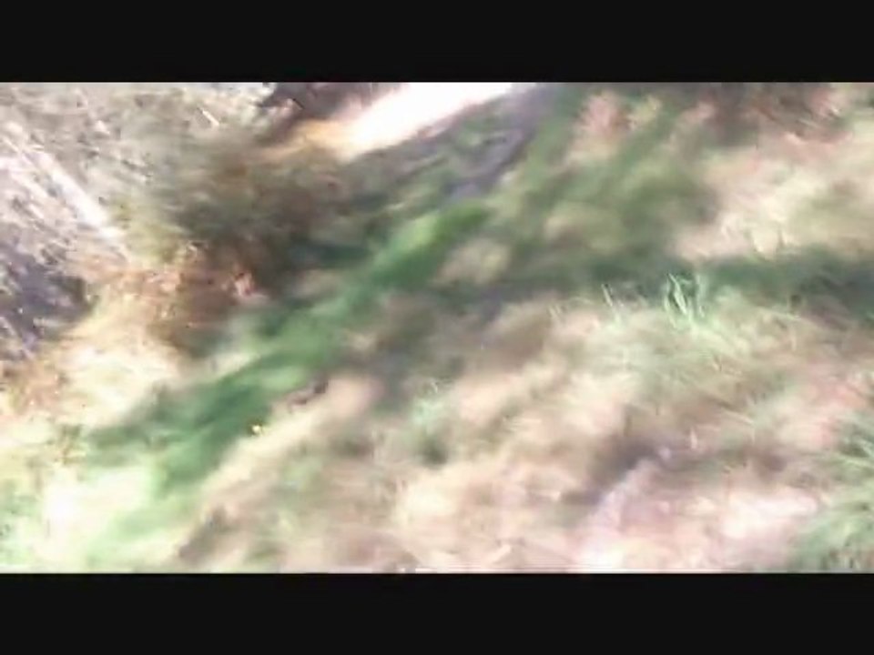 terrain motocross [hd]
