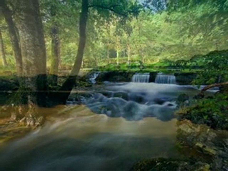 webzine d'informations insolite création