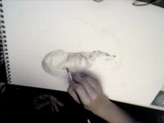 Moment de repos part 1