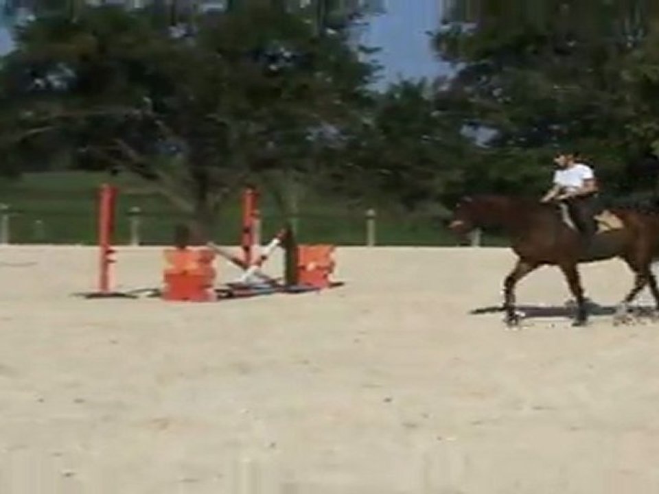 saphir8