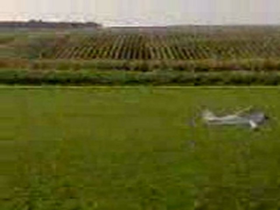 Vidéo-0006