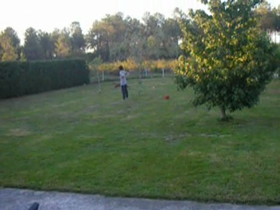 Salto 6