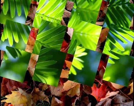 Υπερκινητικός Δάσκαλος~Η φύση στα καλύτερά της 2