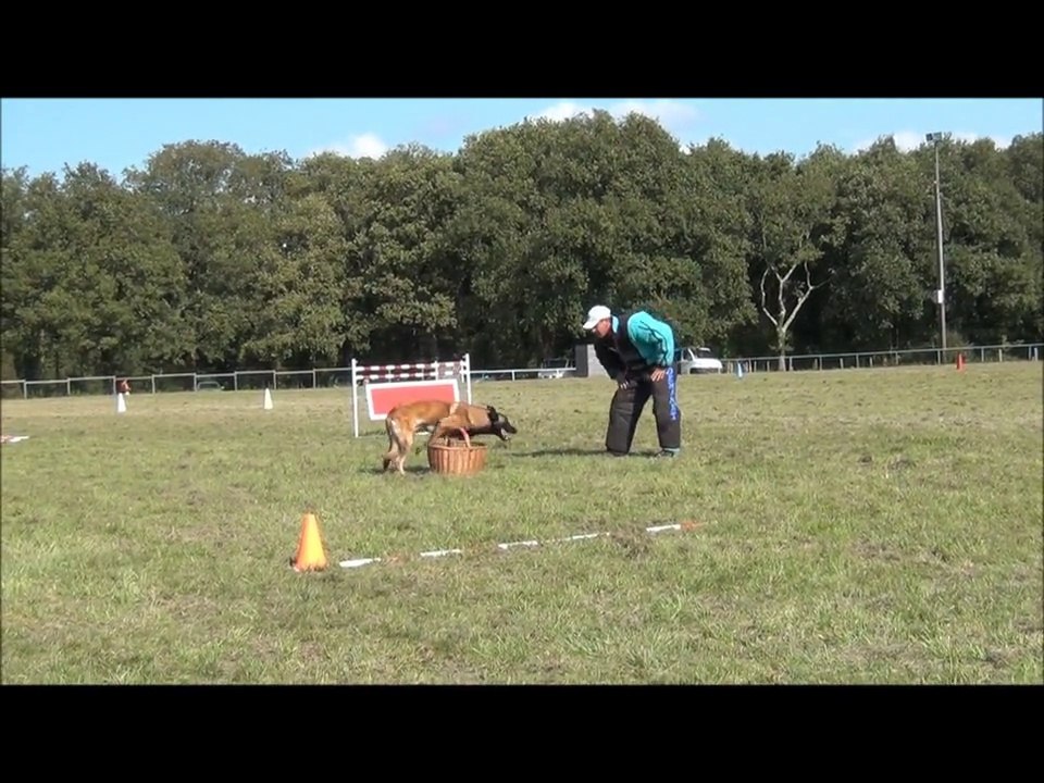 Fête du club 2011 démonstration Ring