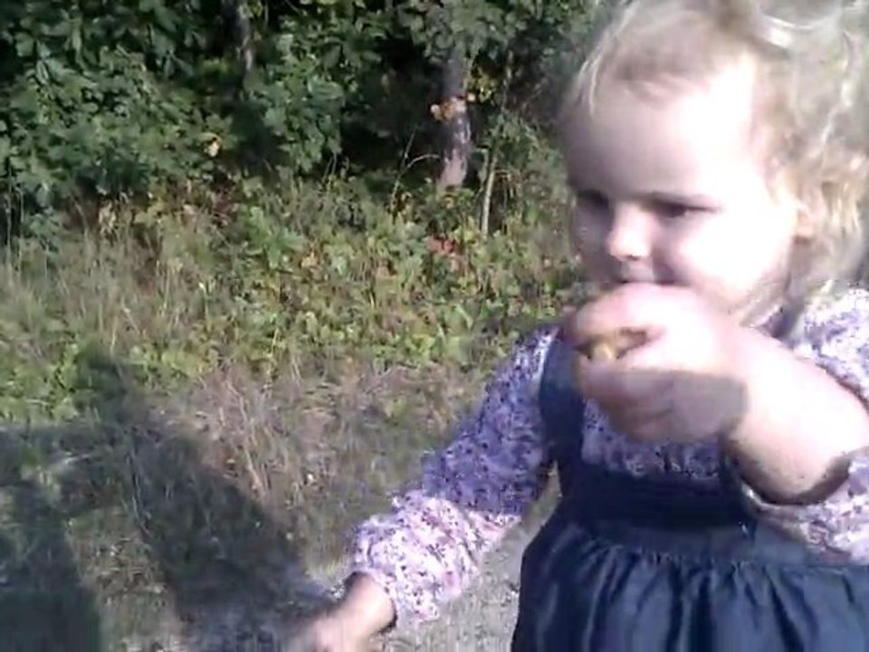 VIDEO0015