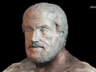 Human evolution, or Anthropogenesis - Morph