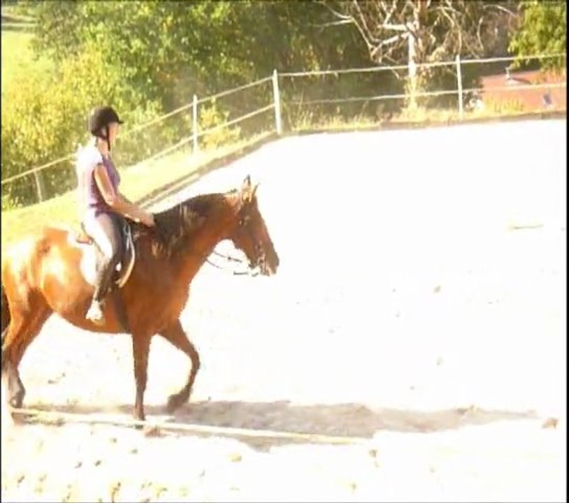 lara meilie 25/09/11