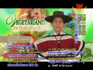 Las Chinchillas National Reserve (In Spanish)