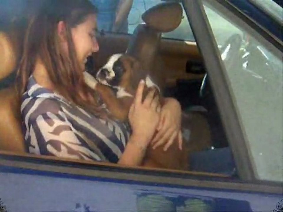 Départ de Gassman à 65 jours, 2011-10-02 (CHEYENNE de SAINT QUINIS X UCELLO du DOLON / Portée des "G" 2011)