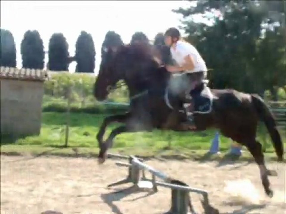 parcours obstacle Cooper