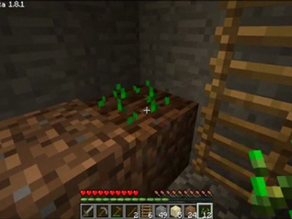 vidéo info et conseil sur Minecraft la maison et ses environs