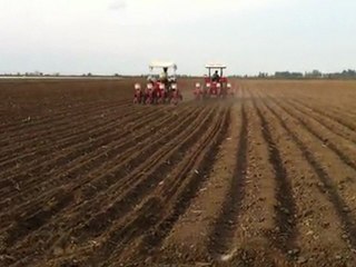 Adana-Mısır ekimi Gaspardo Diskli Mibzerler...