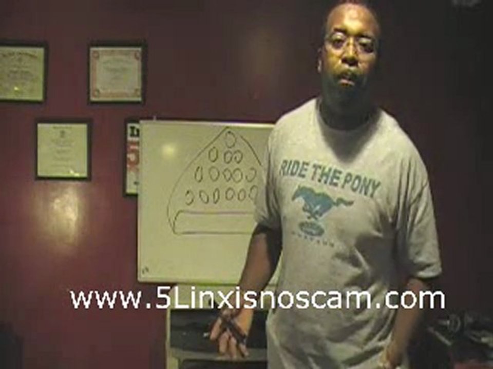 Is 5Linx a Scam