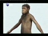 Homo erectus: Sudoracion y caza persistente