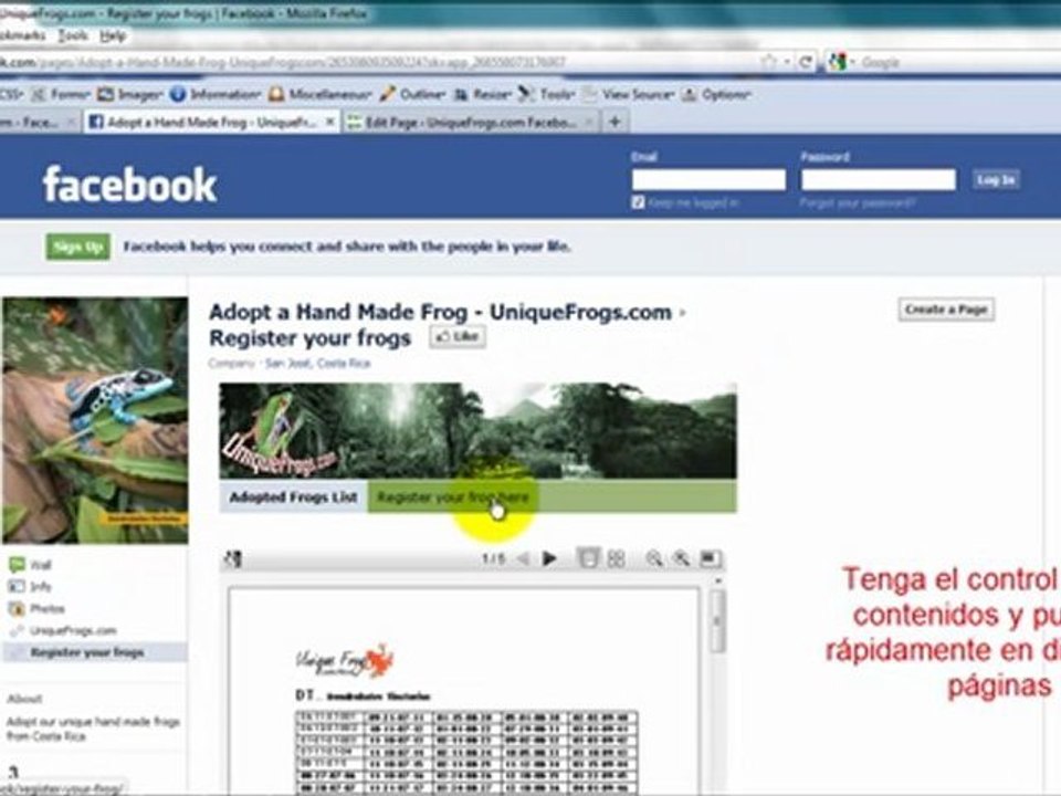 WordPress Iframe para Facebook Pages - Demo