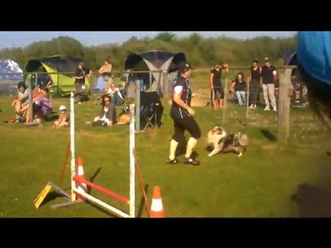 concours Agility Brest 2 octobre 2011 Laurence et crunch
