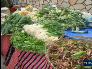 Prof. Dr. Ahmet Maranki Kastamonu TV'de - BÖLÜM 2