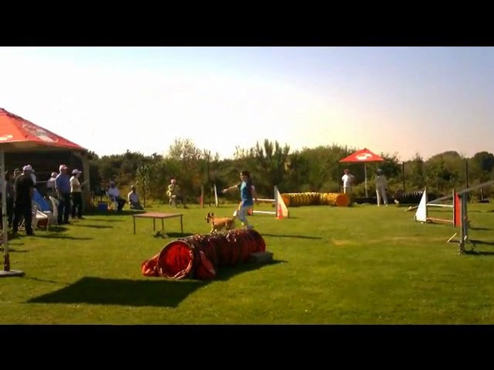 concours Agility Brest 2 octobre 2011 Vanessa et dusty