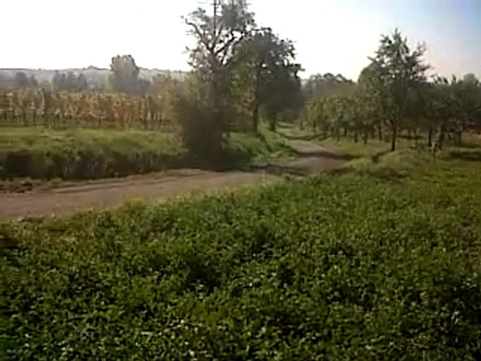 rallye alsace ( part 44 )